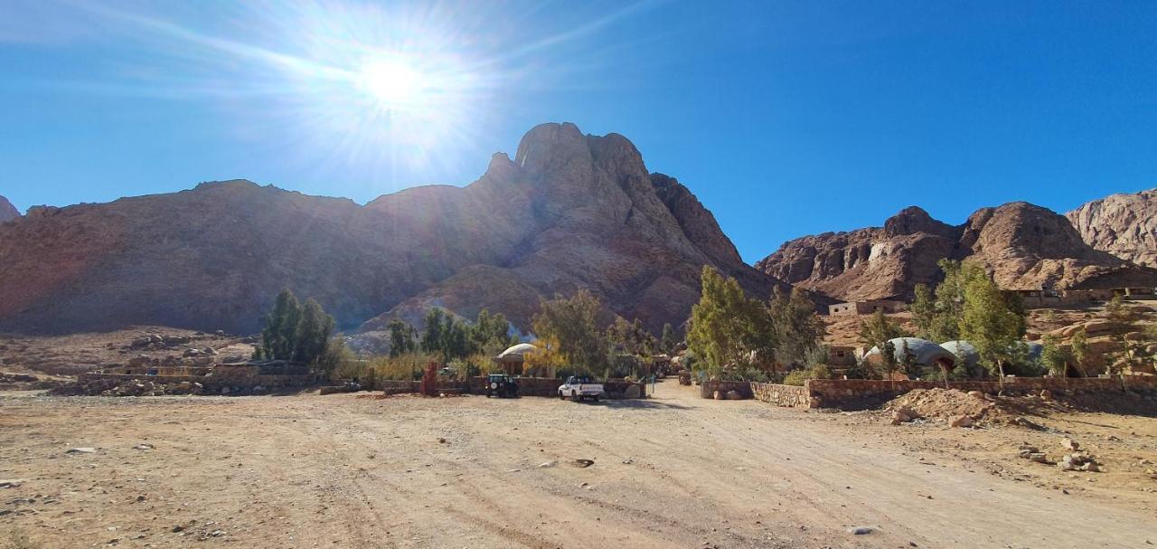 Hotel Fox Camp Saint Catherine Exterior foto