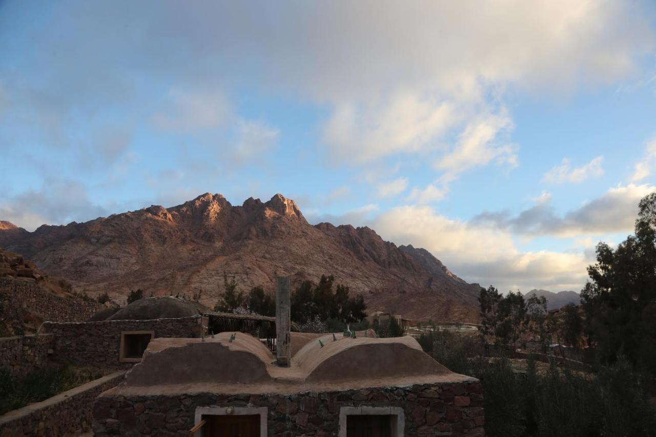 Hotel Fox Camp Saint Catherine Exterior foto